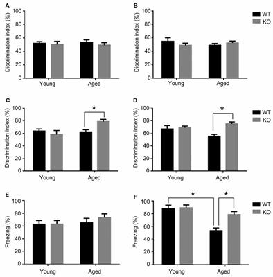 Adrenomedullin Contributes to Age-Related Memory Loss in Mice and Is Elevated in Aging Human Brains